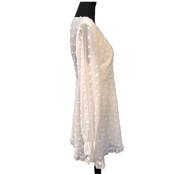 SBetro Swiss Dot Sheer Chiffon Skater Dress Size L - Picture 3 of 5